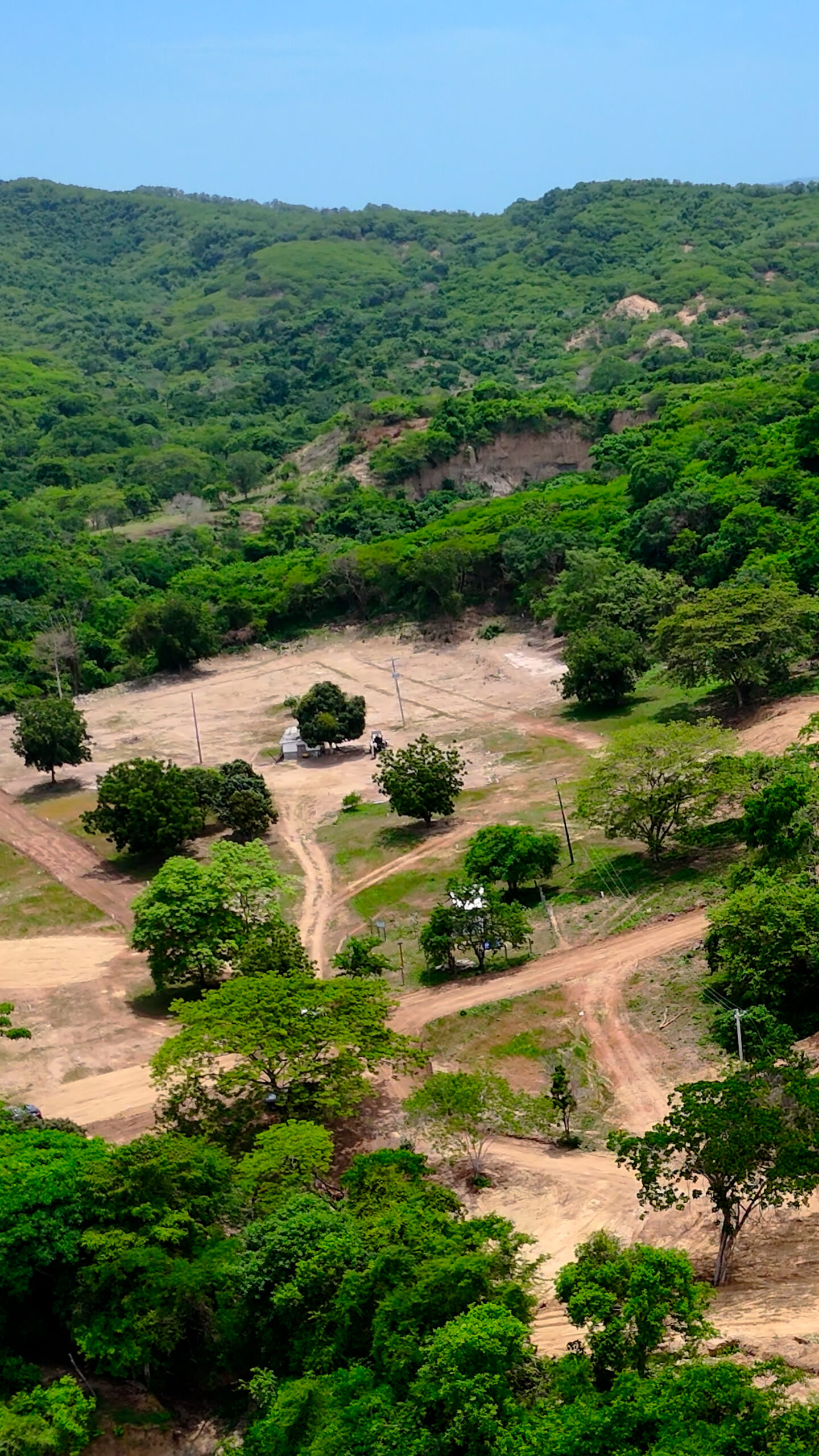 Avances del Proyecto